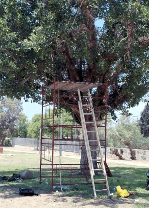 תלמידה נפגעה בפעילות ספורט אתגרי שארגן בית הספר